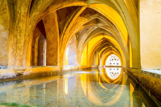 【未開封】Florecer Life in Andalucia shutterstock_535983379_660x440